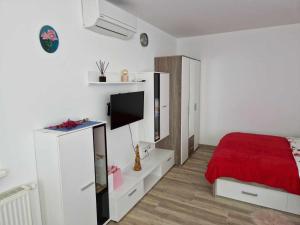 TV a/nebo společenská místnost v ubytování Apartma Petja