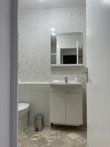 a bathroom with a sink and a toilet and a mirror at Logement en bord de Meuse « La Jolie Rose » in Haybes