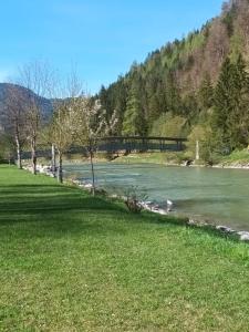 Príroda v okolí apartmánu