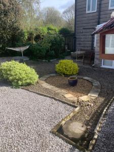 un giardino con due piante e una panchina in un cortile di Comfort Home a Wigan