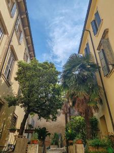 ein Gebäude mit zwei Palmen neben einem Gebäude in der Unterkunft PAO Apartment - Veronetta 1 in Verona