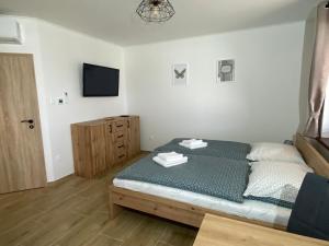 Schlafzimmer mit einem Bett und einem Flachbild-TV in der Unterkunft Apartmán Nezábudka in Nesvady