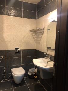 La salle de bains est pourvue d'un lavabo, de toilettes et d'un miroir. dans l'établissement Hotel Seever, à Erbil