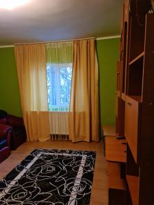 sala de estar con ventana y alfombra en Garsoniera MAIA Slănic-Moldova, en Slănic-Moldova