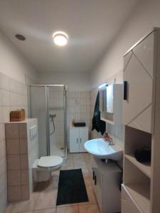 a bathroom with a shower and a toilet and a sink at Land.Natur.Erholen. in Wolgast