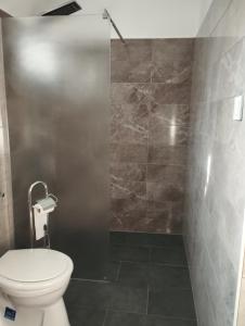 uma casa de banho com um WC e um chuveiro em Krezo Ház em Gyenesdiás