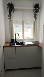 Η κουζίνα ή μικρή κουζίνα στο Sere Sea Home Rome +19 φωτογραφίες