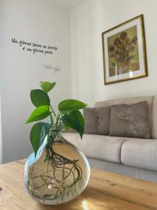 un jarrón de cristal sobre una mesa con una planta dentro en THE SUNFLOWER APARTMENT en Ronzo Chienis