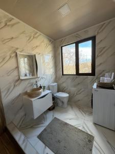 ein Bad mit einem Waschbecken, einem WC und einem Fenster in der Unterkunft Tamari See in Dedoplis Tskaro