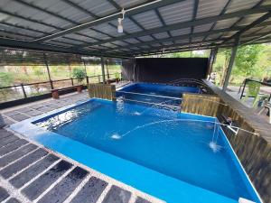 ein großer Pool mit einer Pergola in der Unterkunft Dangau TokWan in Pokok Sena