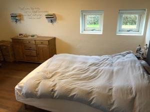 a bed in a bedroom with two windows and a dresser at Great house in beautiful surroundings in Aalborg