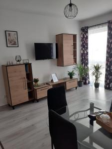 TV a/nebo společenská místnost v ubytování Apartament w Starym Młynie