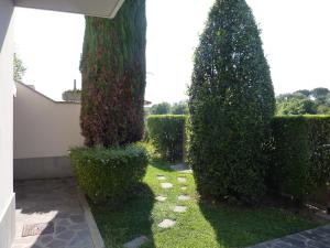 un jardín con 2 árboles grandes y césped verde en Dimora Rinaldi, en Empoli