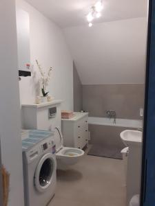 ein Badezimmer mit einer Waschmaschine und einem Waschbecken in der Unterkunft Apartament w Starym Młynie in Sobótka