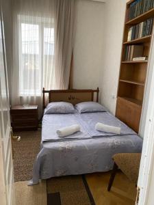 泰拉維的住宿－GuestHouse LILIA &Wine Celler，一间卧室配有一张带两个枕头的床