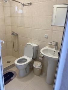 łazienka z toaletą i umywalką w obiekcie GuestHouse LILIA &Wine Celler w mieście Telawi