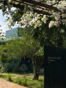 a tree with white flowers in front of a building at Bình An lake view in Buon Ma Thuot