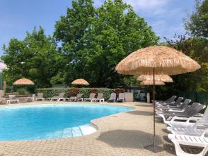 a pool with chairs and a straw umbrella at Château de Termes in Martel