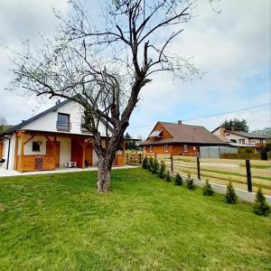 a tree in the grass in front of a house at MaGórka in Krempna