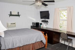 a bedroom with a bed and a desk with a television at Longhouse Lodge Motel in Watkins Glen