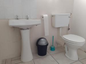 a bathroom with a sink and a toilet at Zenith Guesthouse in Pretoria +14 photos