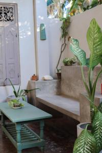 una habitación con un banco, una mesa y plantas en Beachbums CoLiving Midigama, en Midigama East