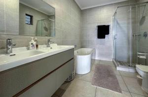 a bathroom with a sink and a toilet and a shower at StayEasy Lux Apartment in Edenvale +13 photos