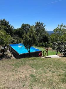 a large swimming pool in a field with trees at Casa Berton in Mochignano
