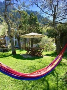 a hammock in a yard with a table and an umbrella at Casa Marili, das charmante Ferienhaus in Seewis