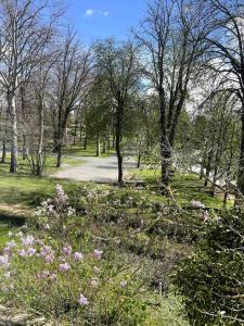 Vonkajšia záhrada v ubytovaní Résidence Harmonie Appartement N 2 Meublé Avec Petit Déjeuner