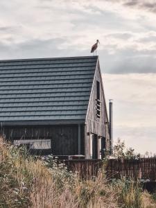 ein Vogel, der auf dem Dach eines Gebäudes sitzt in der Unterkunft Nomads' Hill in Poraż