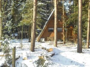una cabaña de madera en el bosque en la nieve en Nurdachferienhaus in ruhiger Lage, auf einem naturbelassenem Grundstück mit nahegelegener Angelmöglichkeit - b48731, en Wienhausen