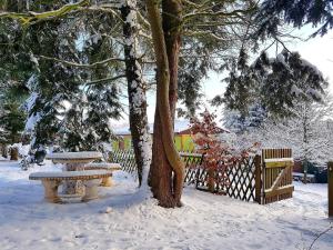 um banco sentado ao lado de uma árvore na neve em Ruhig gelegener Ferienbungalow mit Terrasse und Garten am Waldrand em Bad Elster