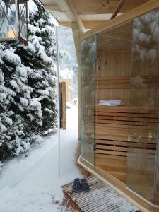 um chuveiro de vidro num quarto com árvores cobertas de neve em Ruhig gelegener Ferienbungalow mit Terrasse und Garten am Waldrand em Bad Elster