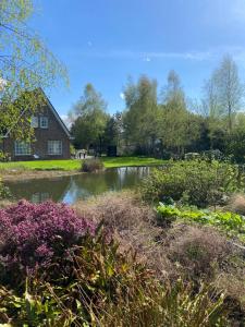 a house and a pond in front of a house at Ecolodge Almere with private outdoor terrace & beach in Almere