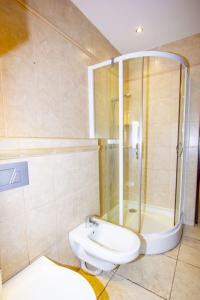 a bathroom with a shower and a toilet and a sink at Villa Aruba in Grzybowo