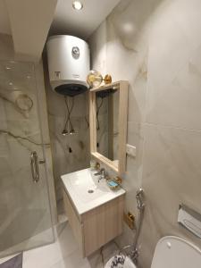 een badkamer met een wastafel, een toilet en een douche bij ستوديو فندقى فاخر بالزمالك in Caïro