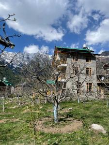 ein Baum vor einem Steingebäude in der Unterkunft Heavens retreat,Club nirvana stays in Vashisht