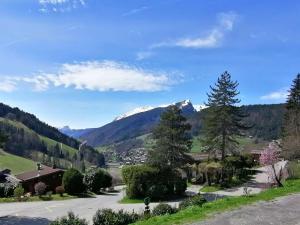 a road in a valley with a snow covered mountain at Appartement Le Grand-Bornand, 1 pièce, 4 personnes - FR-1-241-65 in Le Grand-Bornand