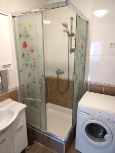 a shower in a bathroom with a washing machine at Va Zamete in Rijeka