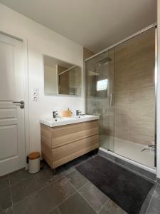 W łazience znajduje się umywalka i prysznic. w obiekcie Appartement Cosy et Confortable w mieście Saint-Genis-Laval