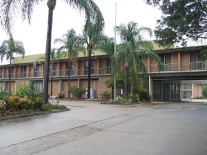 an empty parking lot in front of a building with palm trees at John Hunter Motel Muswellbrook in Muswellbrook