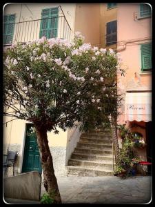 a tree in front of a building with stairs at Appartamento Ca’ del Baffo @riocadelbaffo in Riomaggiore