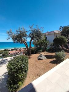 Příroda nedaleko prázdninového domu