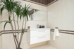 a bathroom with a sink and a plant at Mugav suurepärase vaatega korter in Viljandi
