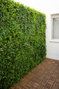 pared verde en una habitación con ventana en Ramos Gardens en Baena