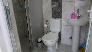 y baño con aseo, lavabo y ducha. en Salda Karanfil Pansiyon en Yeşilova