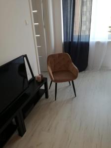 a living room with a chair and a television at Apartament przy Parku in Radom