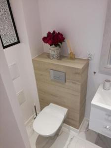 La salle de bains est pourvue de toilettes blanches et d'une commode en bois. dans l'établissement Apartament przy Parku, à Radom