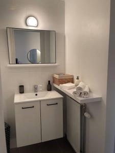 a bathroom with a white sink and a mirror at Appartamento ideal in Tielt